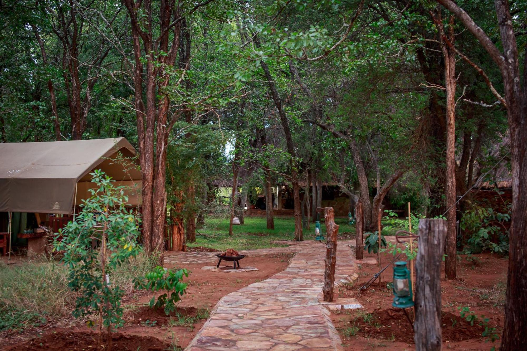 טזאנין Sable Creek Safari Lodge מראה חיצוני תמונה